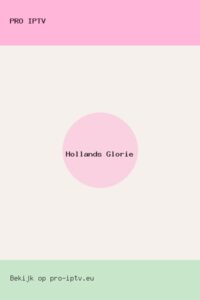 Hollands Glorie poster